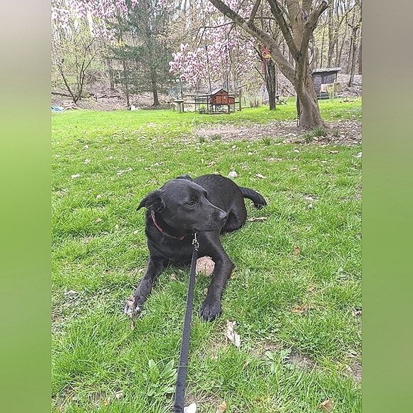 follow Game 🏳️‍⚧️🏳️‍🌈🇵🇸🇸🇩🇨🇩 Stay Well! - Picture 4 of 5